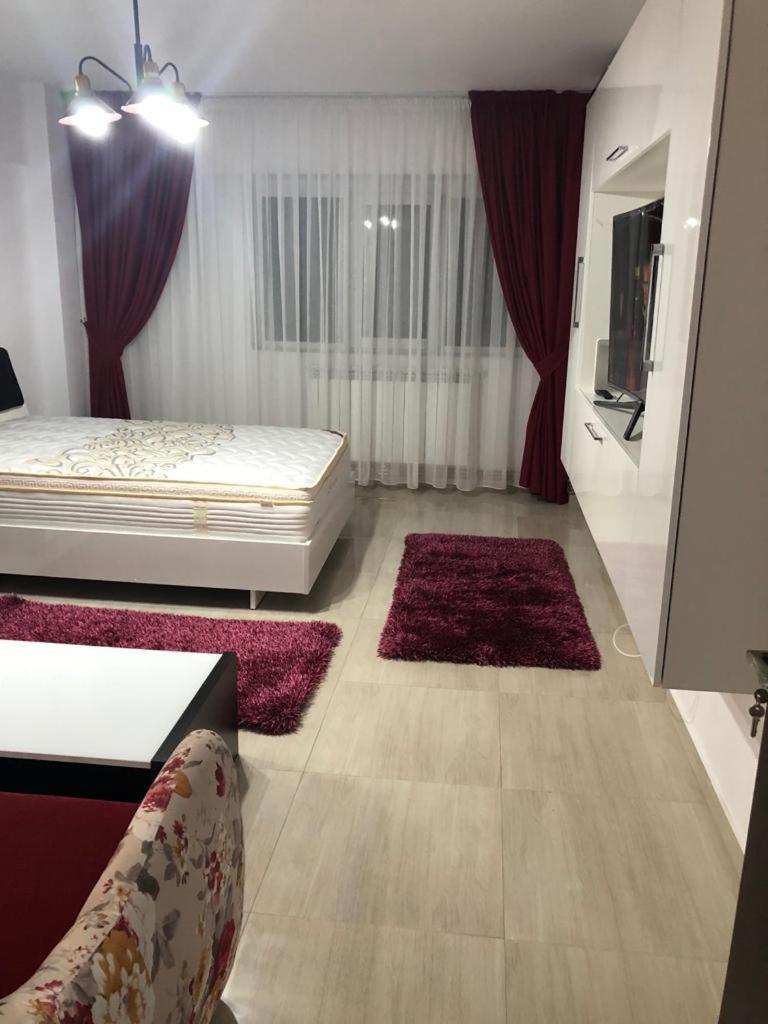 Ana Studio Apartment Galaţi Εξωτερικό φωτογραφία